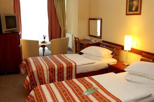 Imagen de la habitación del Hotel Uzhgorod. Foto 9