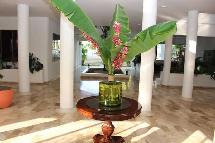Imagen de los interiores del Hotel VAIA HOTELES. Foto 19