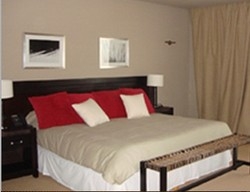 Imagen de la habitación del Hotel VALLE PERDIDO WINE RESORT. Foto 3