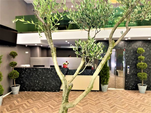 Imagen de los interiores del Hotel VH Eurostar Tirana Congress and Venere Spa. Foto 18