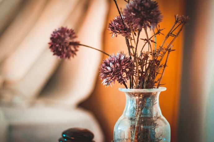 Imagen general del Hotel VILASIRA Rooms and Wines - Adults Only. Foto 9