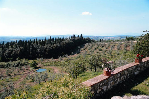 Imagen de los exteriores del Hotel VILLA BELVEDERE CAMPOLI. Foto 6