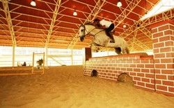 Imagen de los interiores del Hotel VILLA HIPICA GRAVATA. Foto 9