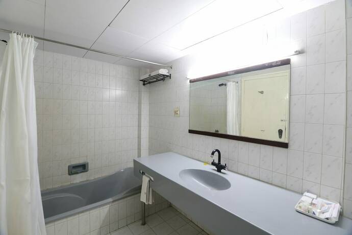 Imagen general del Hotel VITS Shalimar Ankleshwar. Foto 4