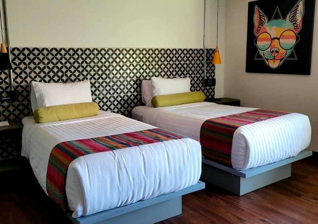Imagen general del Hotel VIVE MX Cuauht&eacute;moc. Foto 10