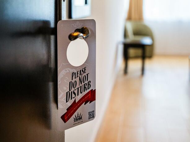 Imagen general del Hotel VRAJA MARII BTT. Foto 6