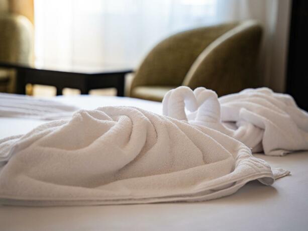 Imagen general del Hotel VRAJA MARII BTT. Foto 9