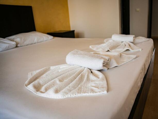 Imagen general del Hotel VRAJA MARII BTT. Foto 12