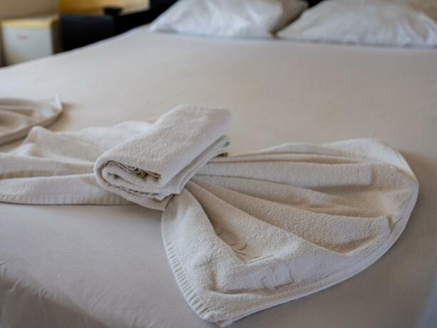 Imagen general del Hotel VRAJA MARII BTT. Foto 19