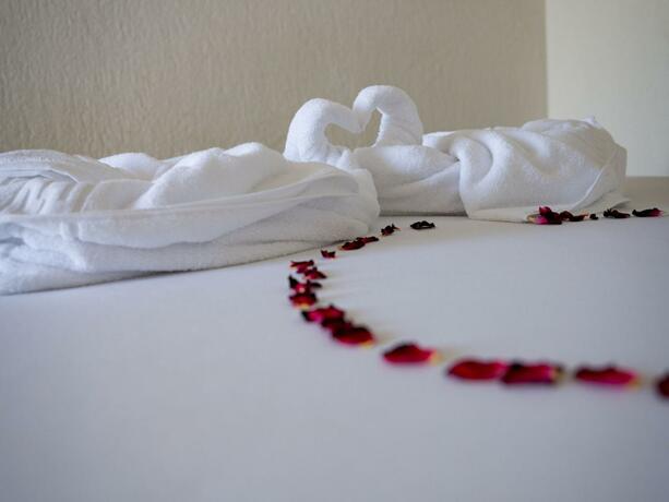 Imagen general del Hotel VRAJA MARII BTT. Foto 30