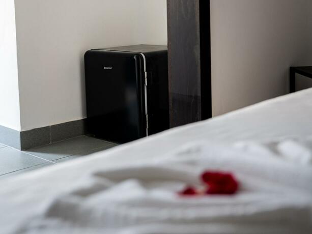 Imagen general del Hotel VRAJA MARII BTT. Foto 46