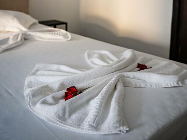 Imagen general del Hotel VRAJA MARII BTT. Foto 47