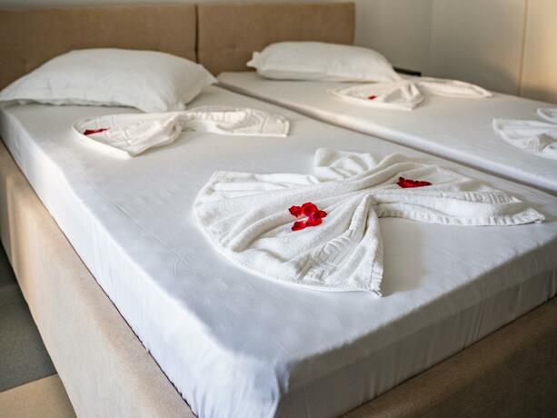 Imagen general del Hotel VRAJA MARII BTT. Foto 48