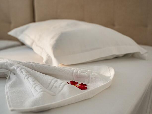 Imagen general del Hotel VRAJA MARII BTT. Foto 49