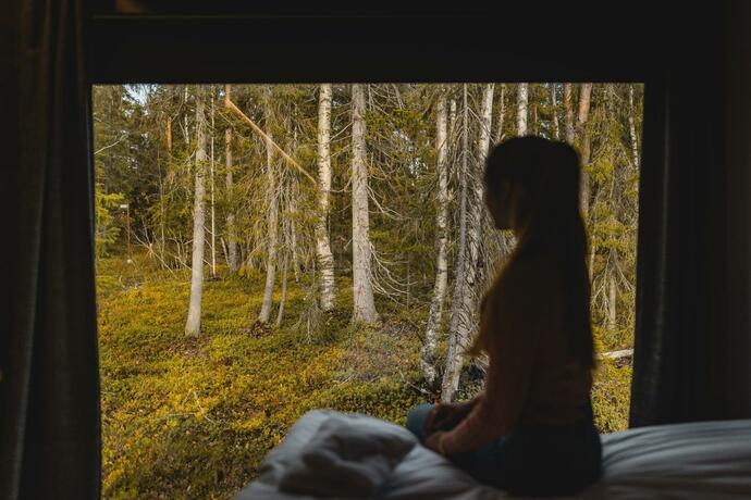 Imagen general del Hotel Vaattunki Wilderness Resort. Foto 37