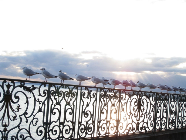 Imagen de los exteriores del Hotel Vacances Bleues Le Royal. Foto 10