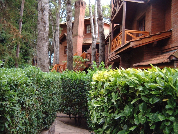 Imagen de los exteriores del Hotel Vacances Dorado. Foto 13
