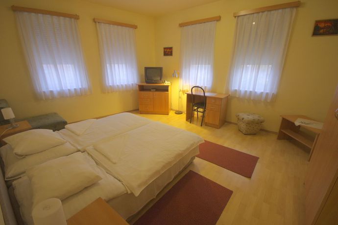 Imagen de la habitación del Hotel Vad&aacute;szk&uuml;rt Superior. Foto 9