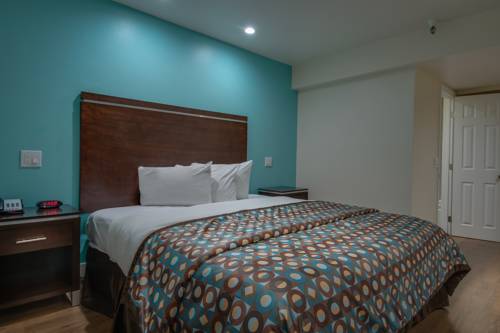 Imagen de la habitación del Hotel Vagabond Inn Executive Bakersfield Downtowner. Foto 5