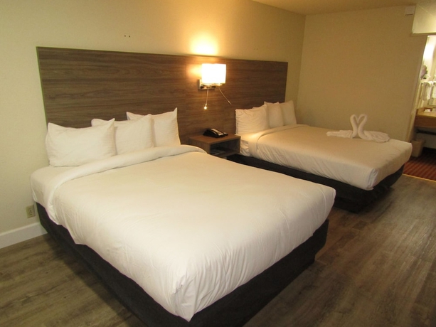 Imagen de la habitación del Hotel Vagabond Inn San Luis Obispo. Foto 8