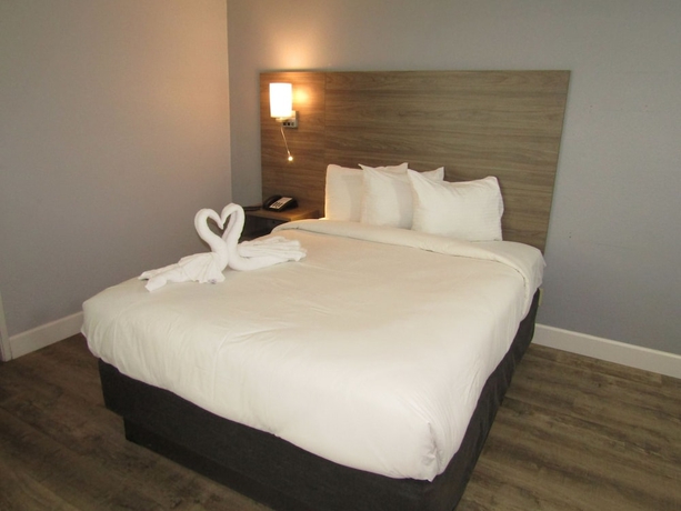 Imagen de la habitación del Hotel Vagabond Inn San Luis Obispo. Foto 19