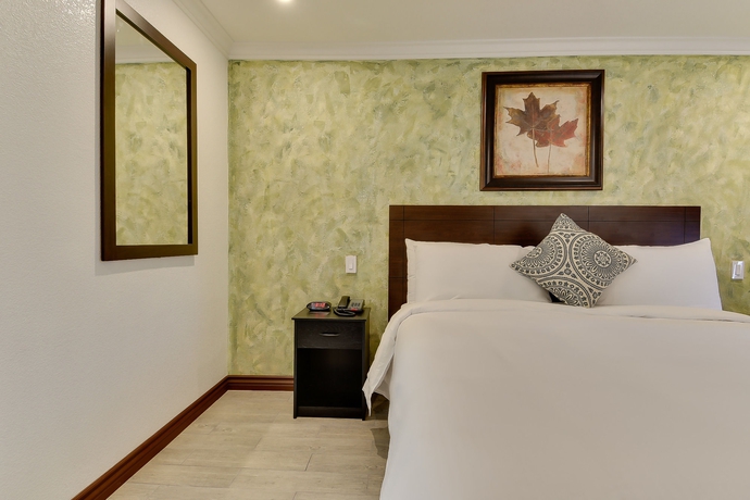 Imagen de la habitación del Hotel Vagabond Inn San Pedro. Foto 12