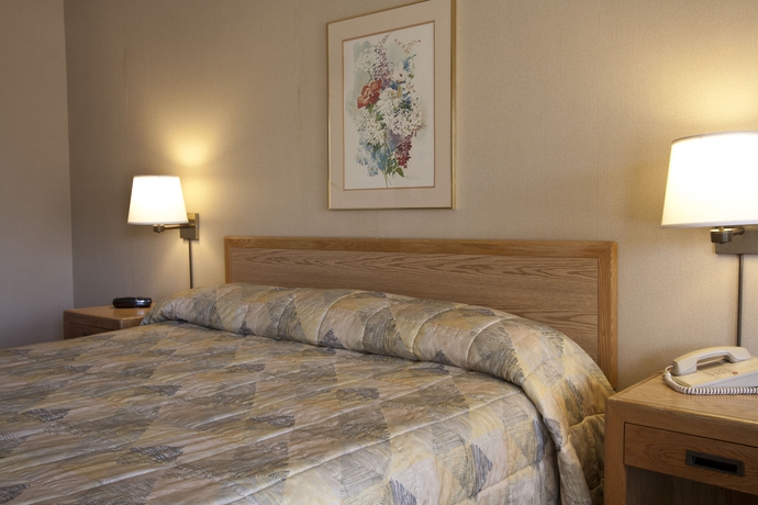 Imagen de la habitación del Hotel Vagabond Motor. Foto 9