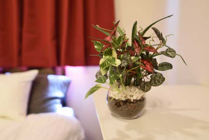 Imagen general del Hotel Vail sta. Takenotsuka. Foto 1