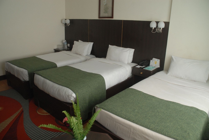 Imagen de la habitación del Hotel Vaishali, Katmandu. Foto 11