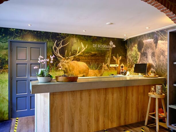 Imagen general del Hotel Vakantiepark De Bosrand. Foto 9