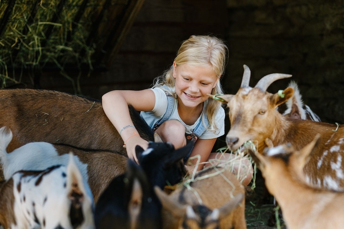 Imagen de los exteriores del Hotel Vakantiepark Dierenbos. Foto 18