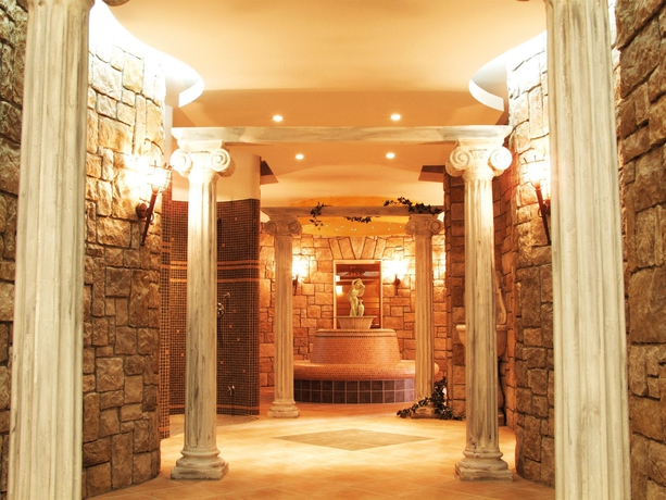 Imagen de la piscina del Hotel Valamar Padova. Foto 14