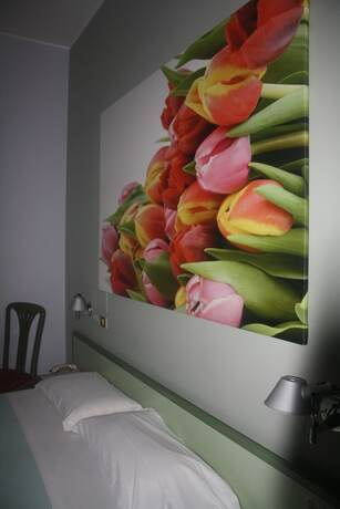 Imagen general del Hotel Valbrenta. Foto 12