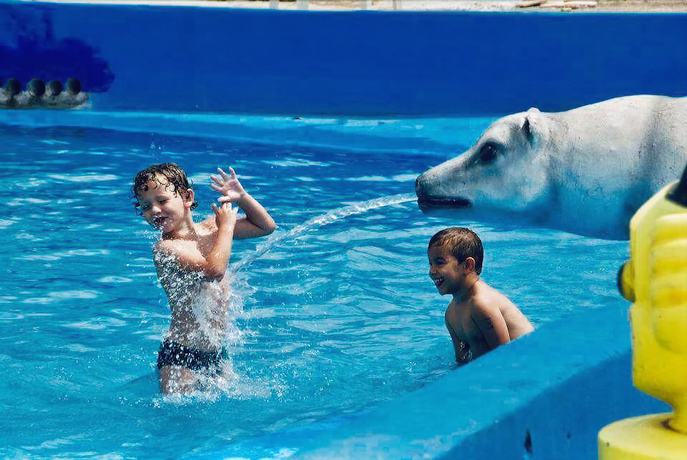 Imagen de la piscina del Hotel Vale das Aguas Parque. Foto 19