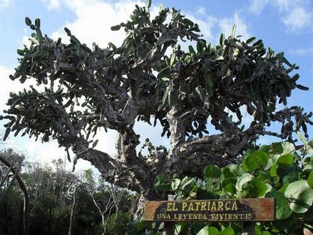 Imagen general del Hotel Valentin El Patriarca Varadero. Foto 4