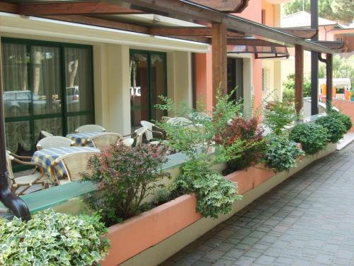 Imagen general del Hotel Valentino, Tagliata di Cervia. Foto 2