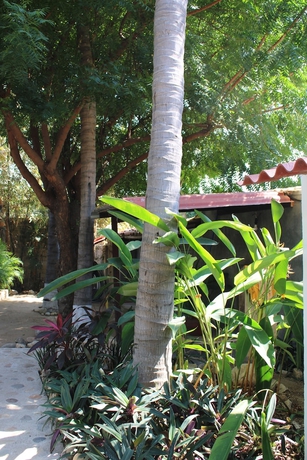Imagen general del Hotel Valhalla Beach House. Foto 4