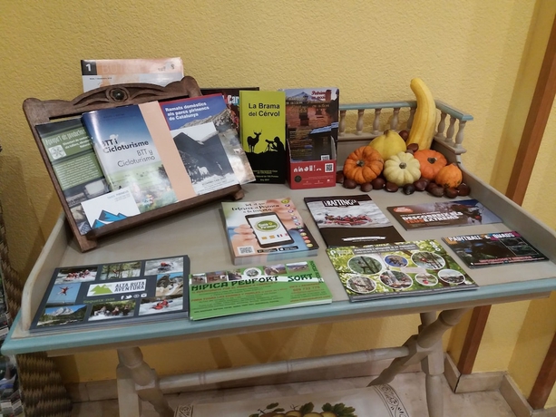 Imagen de los interiores del Hotel Vall D'aneu. Foto 19