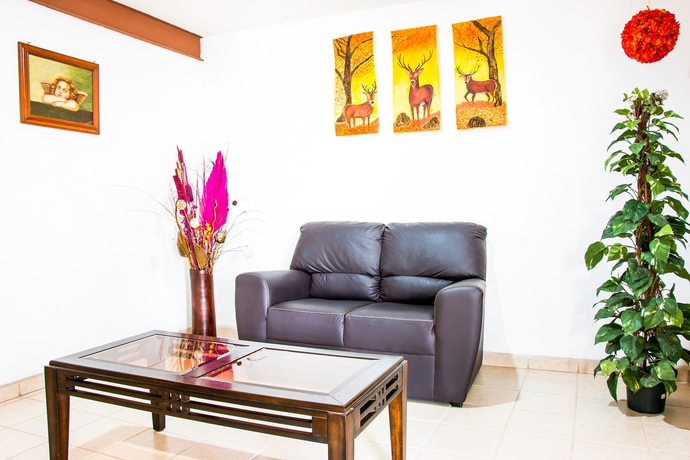 Imagen de los interiores del Hotel Vallartasol. Foto 13