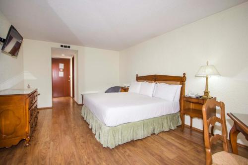 Imagen de la habitación del Hotel Valle De Mexico Toreo. Foto 9