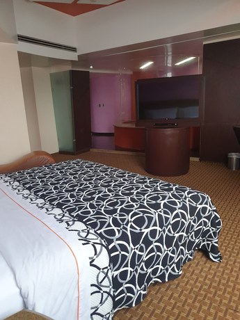 Imagen de la habitación del Hotel Valle Del Sur. Foto 8