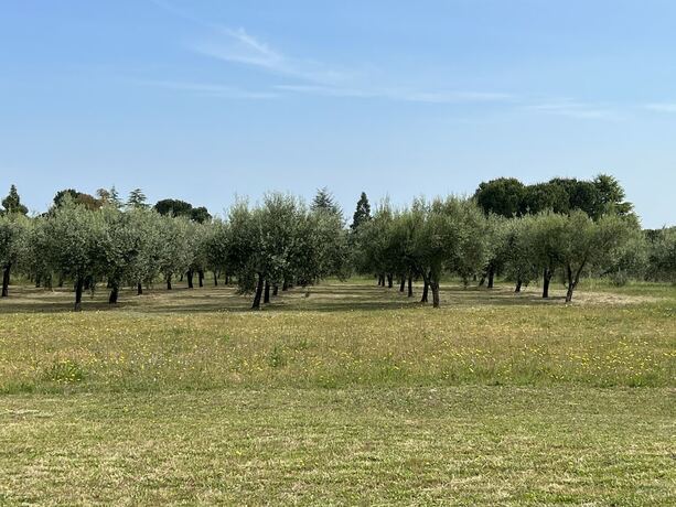 Imagen general del Hotel Valle di venere. Foto 4
