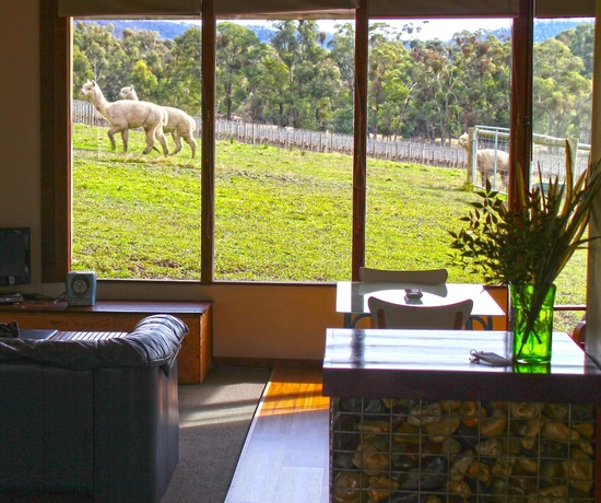 Imagen de la habitación del Hotel Valley Farm Vineyard Cottages. Foto 6