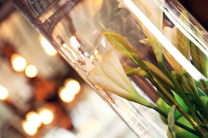 Imagen de los interiores del Hotel Vallonia. Foto 11