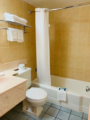 Imagen de la habitación del Hotel Value Lodge, Gainesville. Foto 11