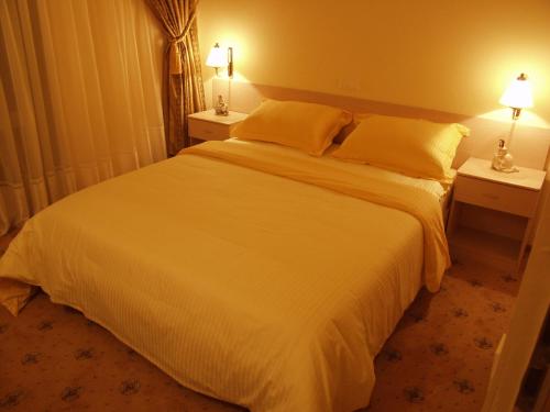 Imagen de la habitación del Hotel Valul Magic. Foto 8