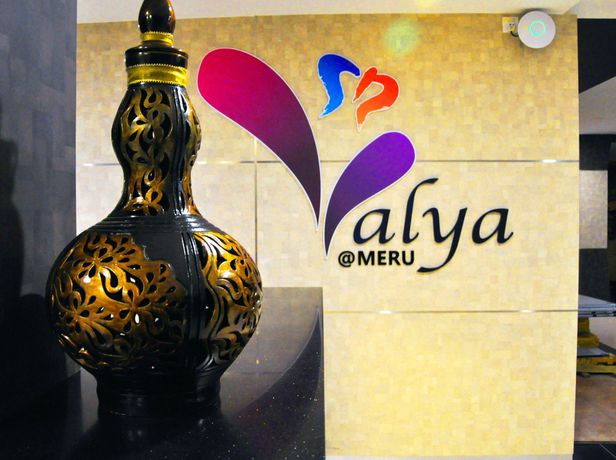 Imagen de los interiores del Hotel Valya. Foto 14