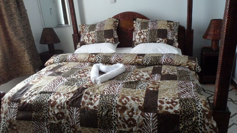 Imagen de la habitación del Hotel Vamos Mikumi. Foto 17