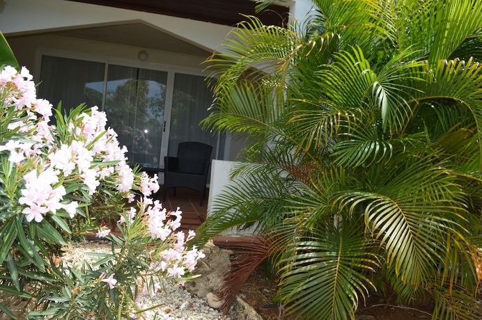 Imagen de la habitación del Hotel Van Der Valk Plaza Beach and Dive Resort Bonaire. Foto 8