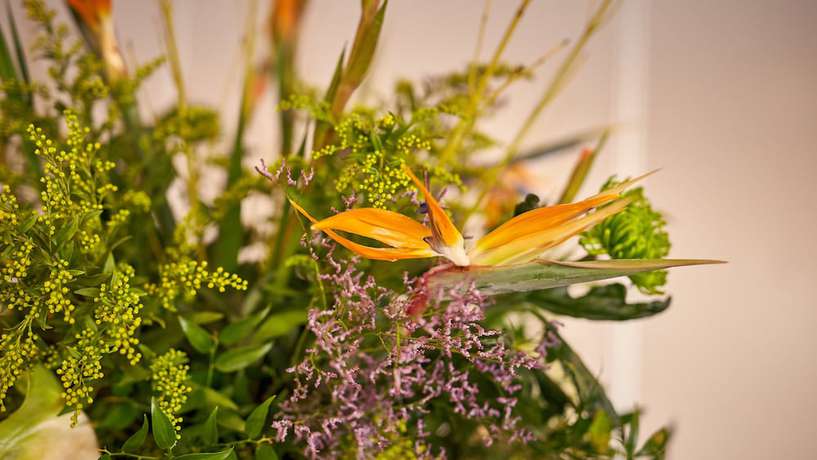 Imagen de los interiores del Hotel Van der Valk ARA. Foto 19